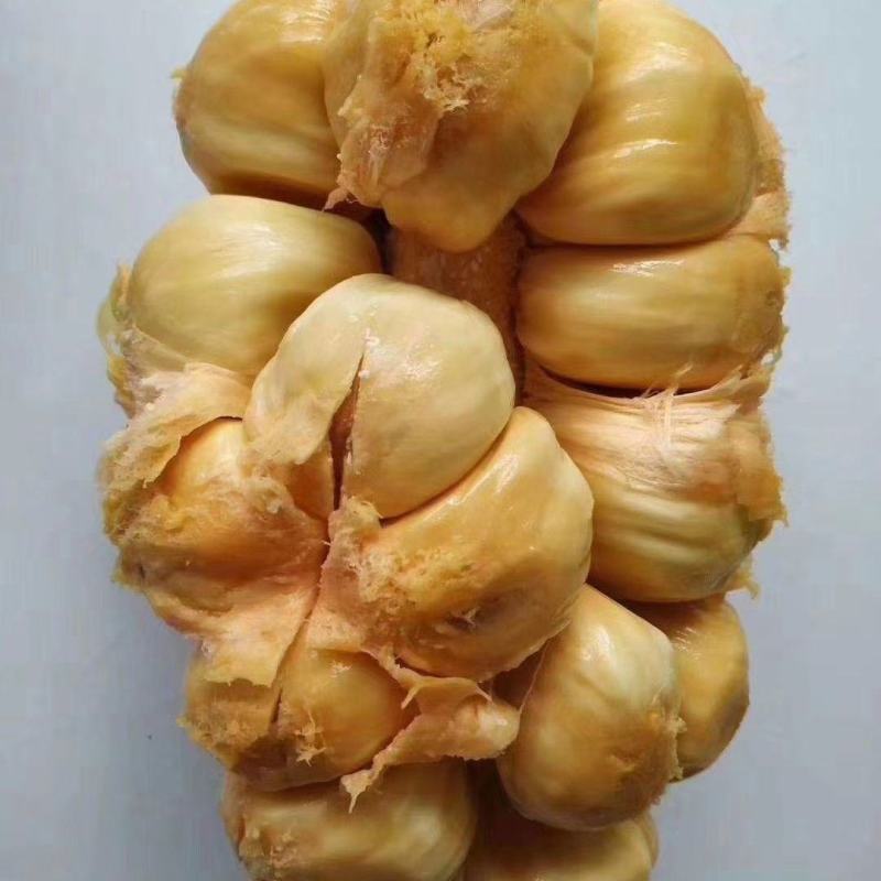 海南榴莲蜜一件代发批发热带水果尖蜜拉