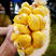 海南榴莲蜜一件代发批发热带水果尖蜜拉