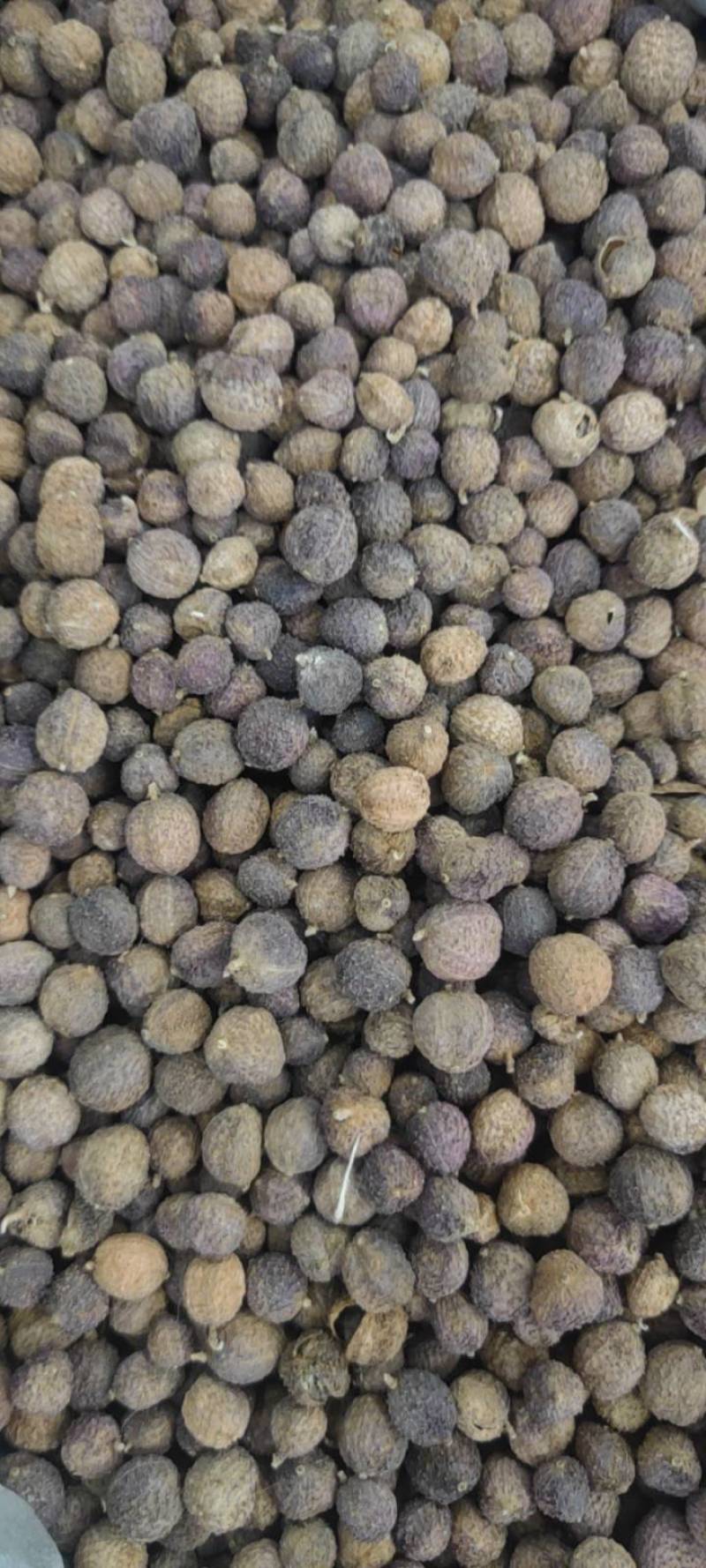 国产阳春砂仁壳砂阳春砂仁含量高