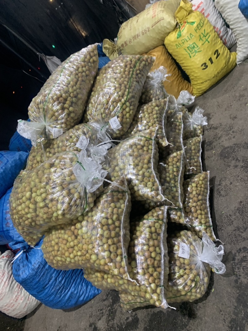 广东甜油甘，滇橄榄，牛柑果，油柑果，余甘果