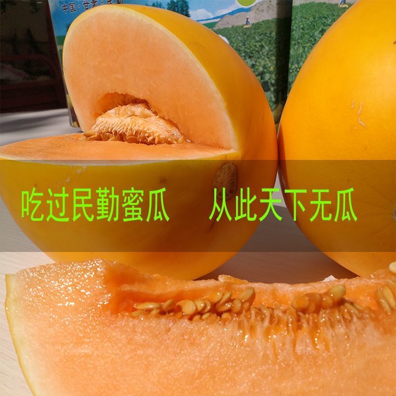 甘肃民勤蜜瓜黄河甜瓜哈密瓜一件代发包邮产地批发装车代收