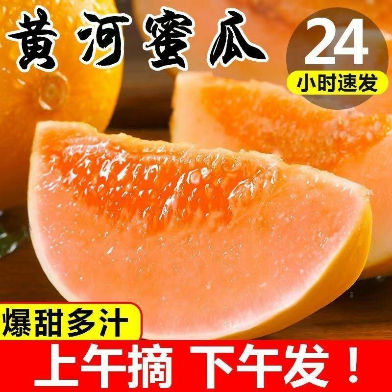 甘肃民勤蜜瓜黄河甜瓜哈密瓜一件代发包邮产地批发装车代收