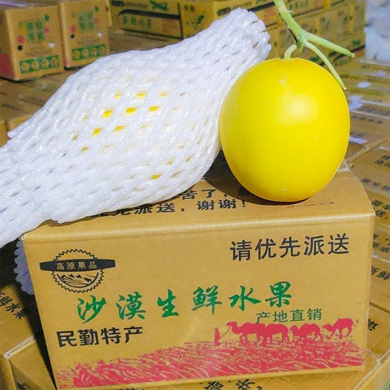 甘肃民勤蜜瓜黄河甜瓜哈密瓜一件代发包邮产地批发装车代收