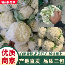 【推荐】菜花有机花菜产地直发一手货源质量保证价格低