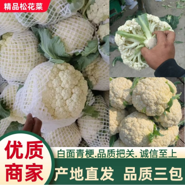 花菜产地直发一手货源白面青梗耐储存易运输对接全国