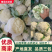 花菜产地直发一手货源白面青梗耐储存易运输对接全国