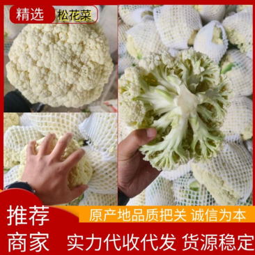 松花菜菜花原产地发货质量非常好白面青梗专业代收发全国