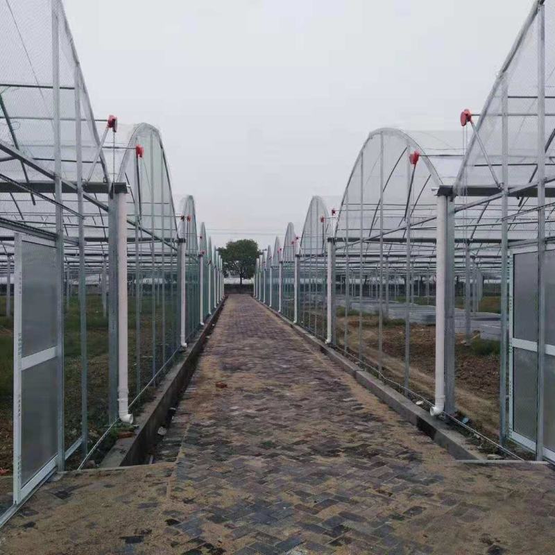 旱地出租温室蔬菜大棚（一年四季可种植各种蔬菜瓜果）