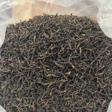 茶饮料原料产地批发
