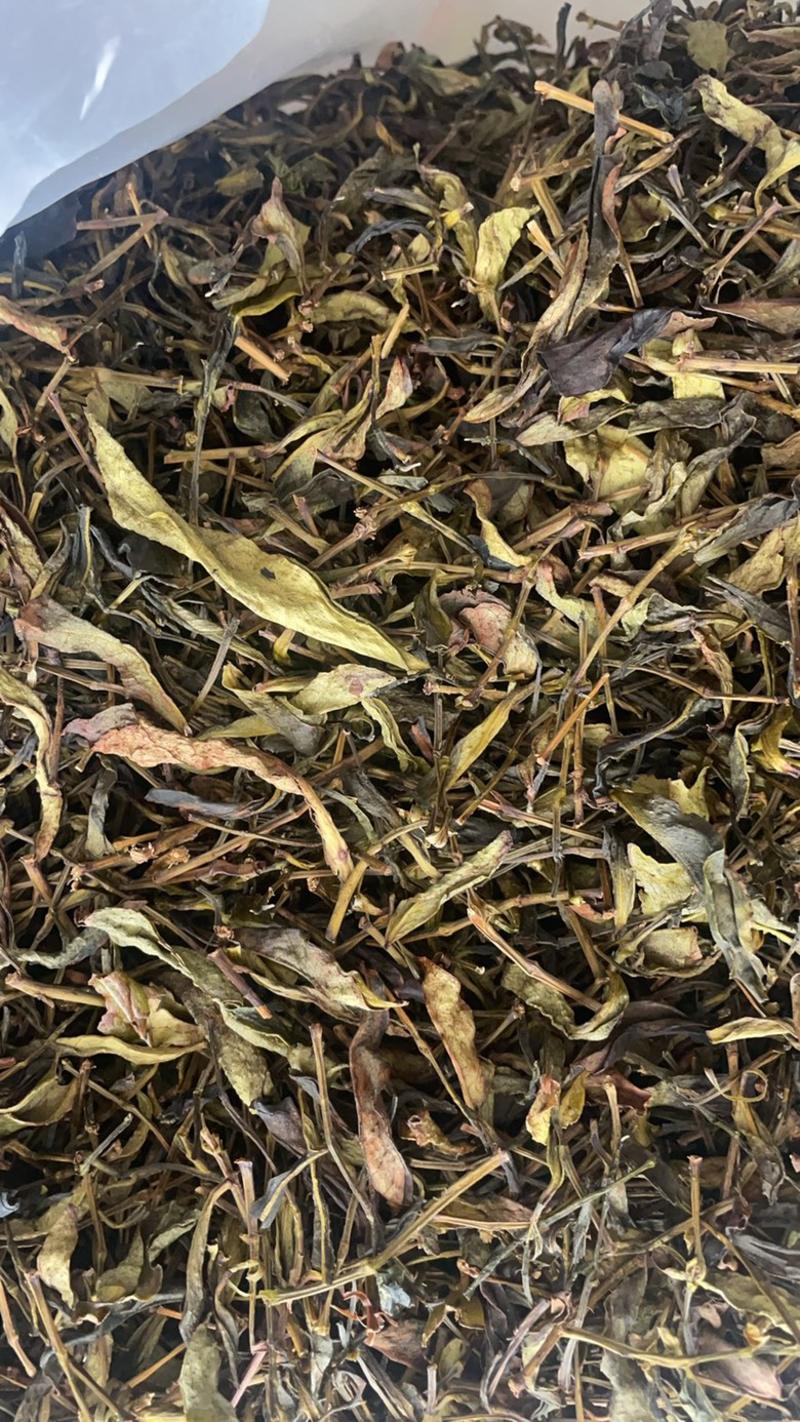 茶饮料原料产地批发