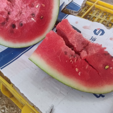 西瓜