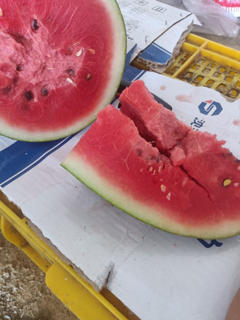 西瓜