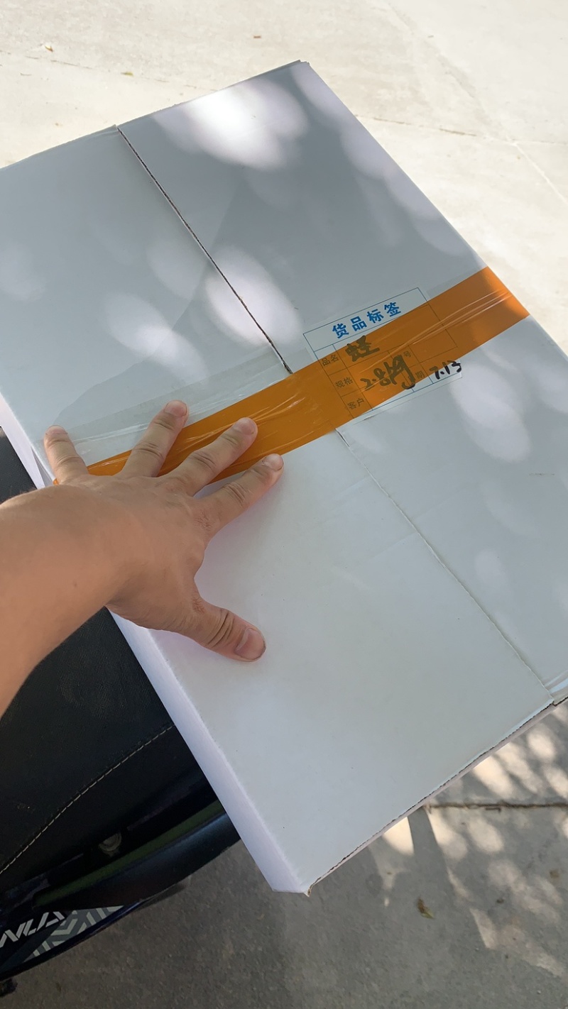 鲜活冻蛏，出口冻蛏。