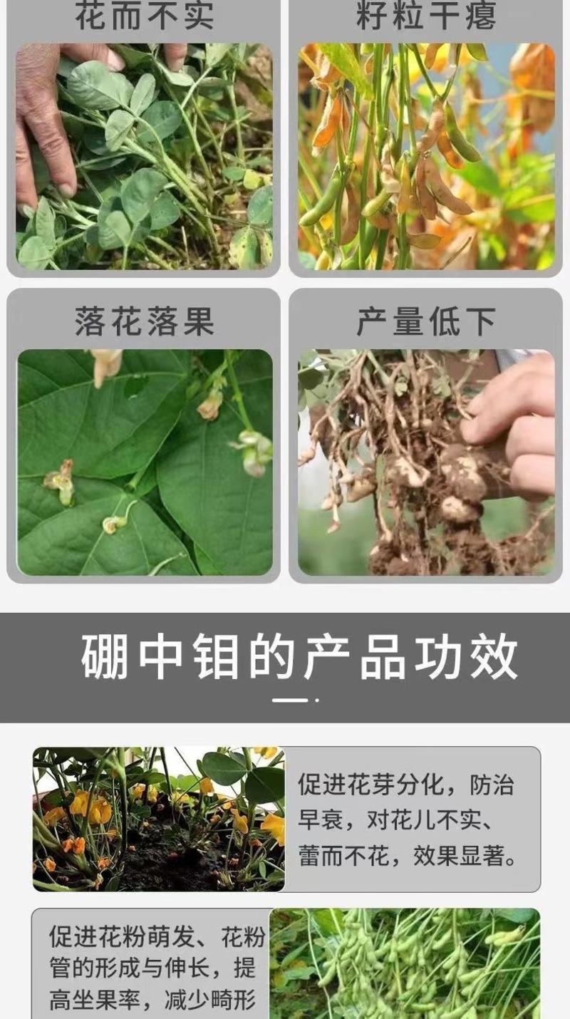 硼中钼肥农用叶面肥促花保花果花生大豆水溶肥微量元素