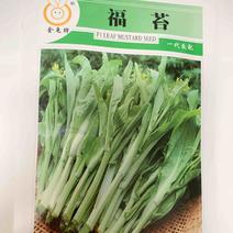 福苔白菜苔种子