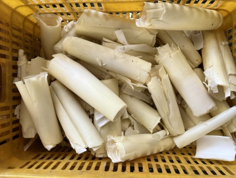 笋衣，鲜嫩爽口，大量供应，来电优惠！