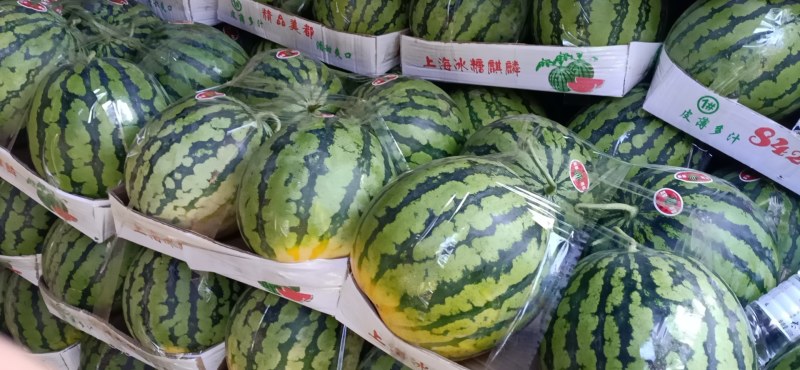 麦茬有籽美都上市中，对接超市，电商，批发市场，每日大供应