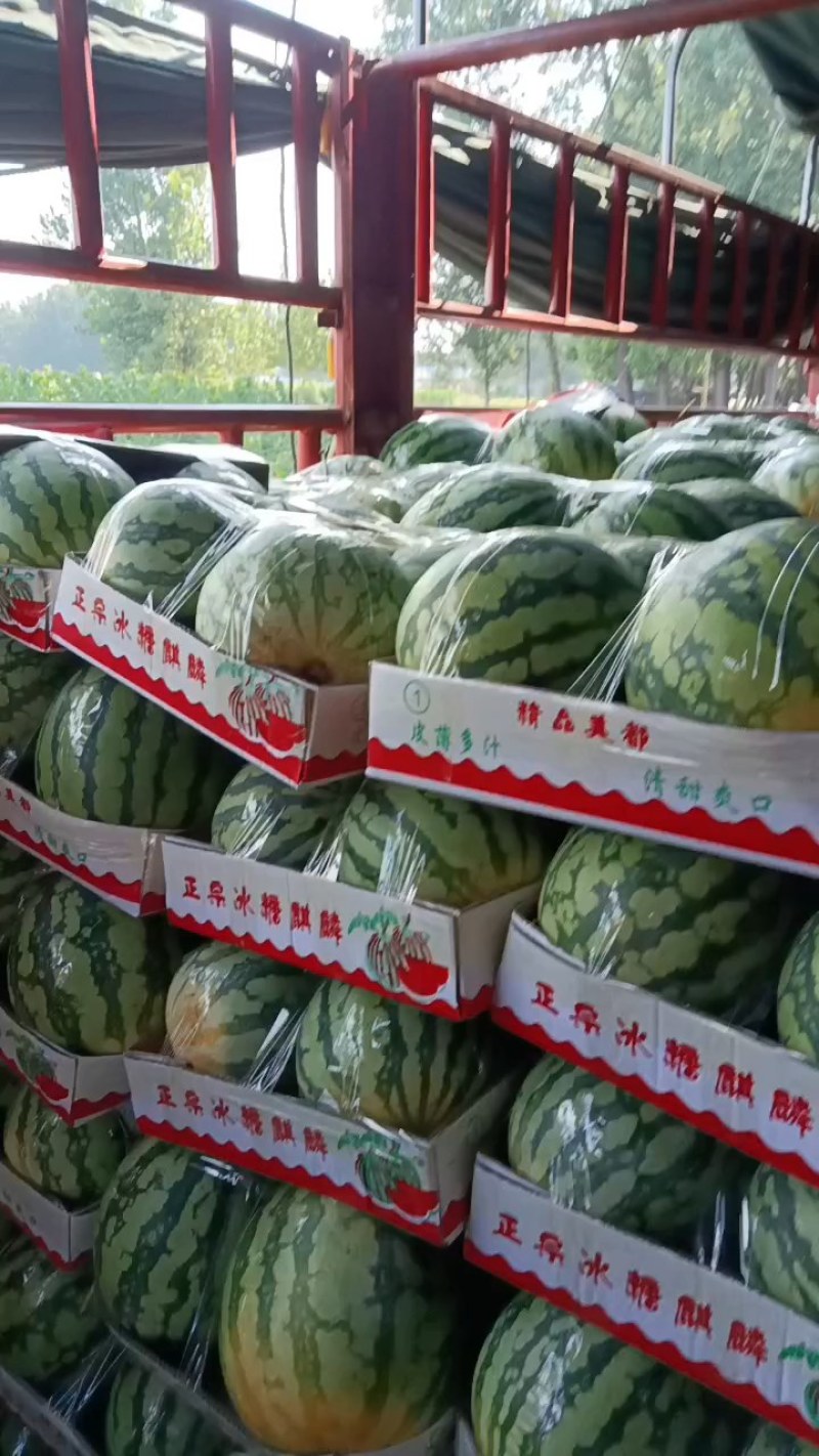 麦茬有籽美都上市中，对接超市，电商，批发市场，每日大供应