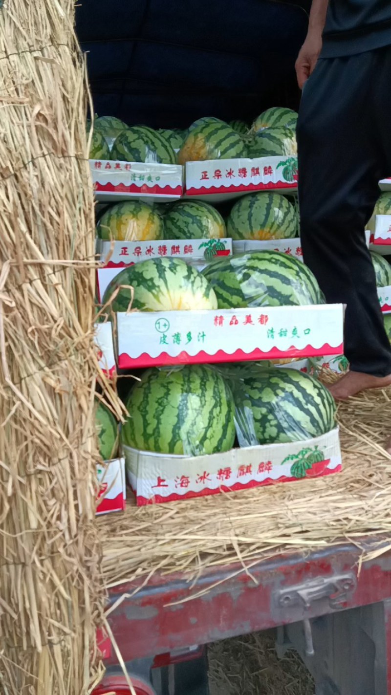 麦茬有籽美都上市中，对接超市，电商，批发市场，每日大供应