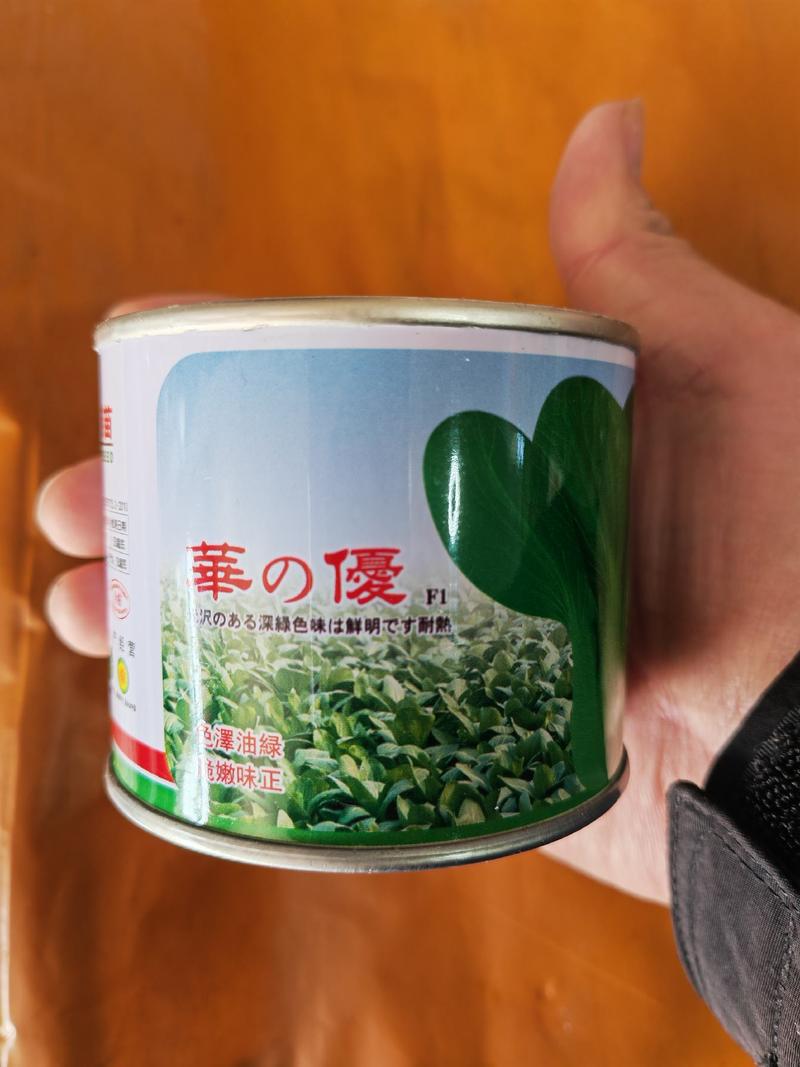 【优】500g杂交青菜品种美福夏悦青梗菜种子