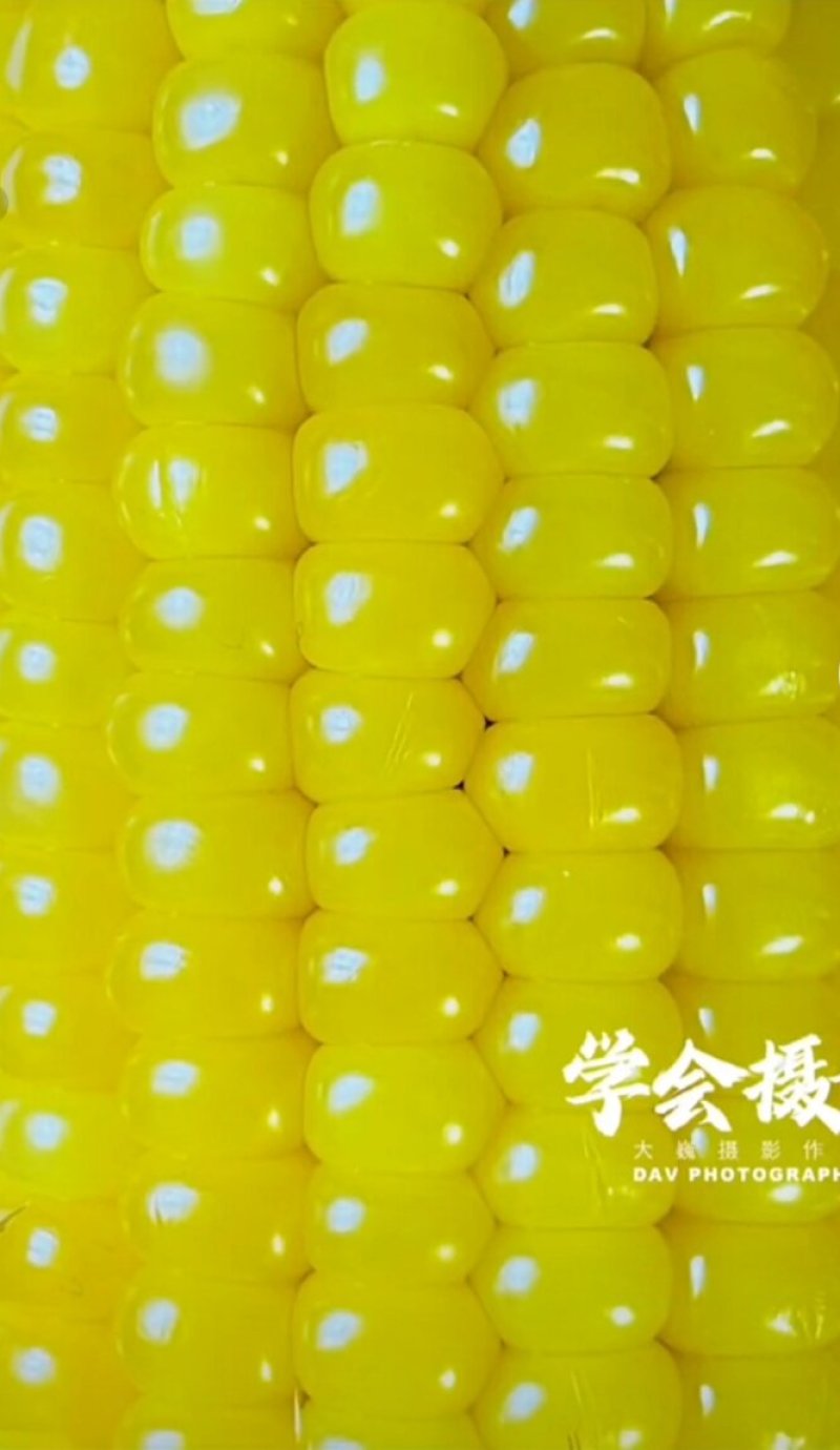 新鲜玉米大量上市诚招老板合作包装工厂