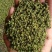 2025年新货青花椒青麻椒昭通花椒云南花椒