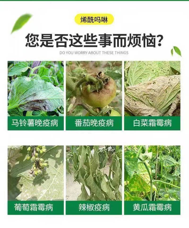 10%氰霜唑48%烯酰吗啉霜脲氰霜霉病晚早疫葡萄黄瓜果树