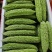 白苦瓜油绿苦瓜大量上市货源充足，需要的老板咨询