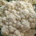 山东菜花、有机花、泰安-肥城青梗白面松花菜、陆续大量上市