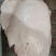 梅花鹿骨楠带里脊肉带前腿肉一手货源产地直销