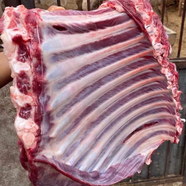 梅花鹿骨楠带里脊肉带前腿肉一手货源产地直销