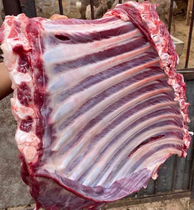 梅花鹿骨楠带里脊肉带前腿肉一手货源产地直销