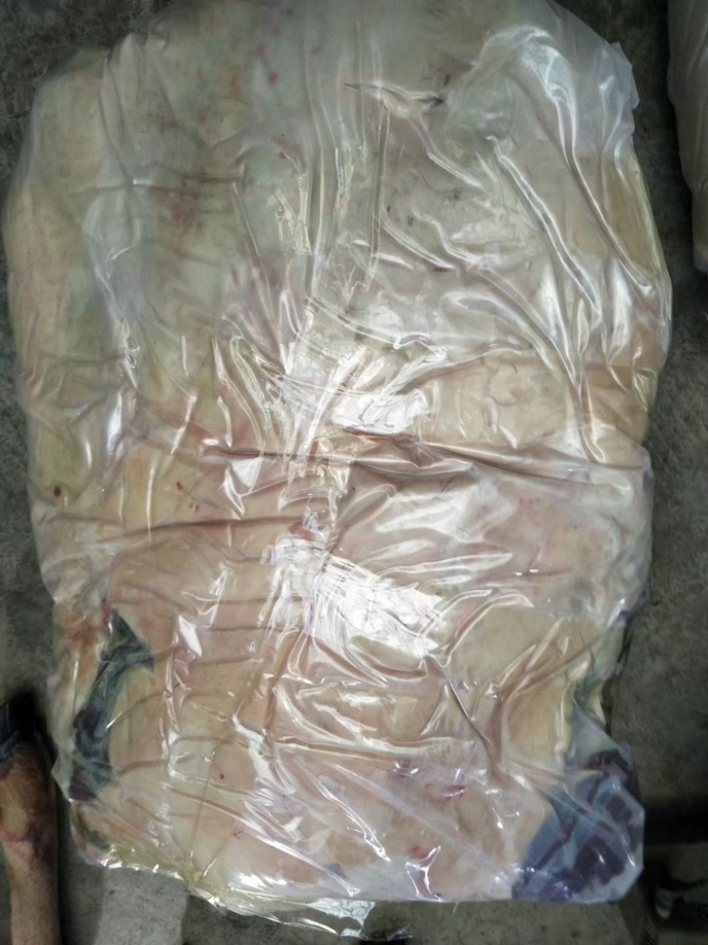 梅花鹿骨楠带里脊肉带前腿肉一手货源产地直销
