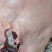 梅花鹿骨楠带里脊肉带前腿肉一手货源产地直销