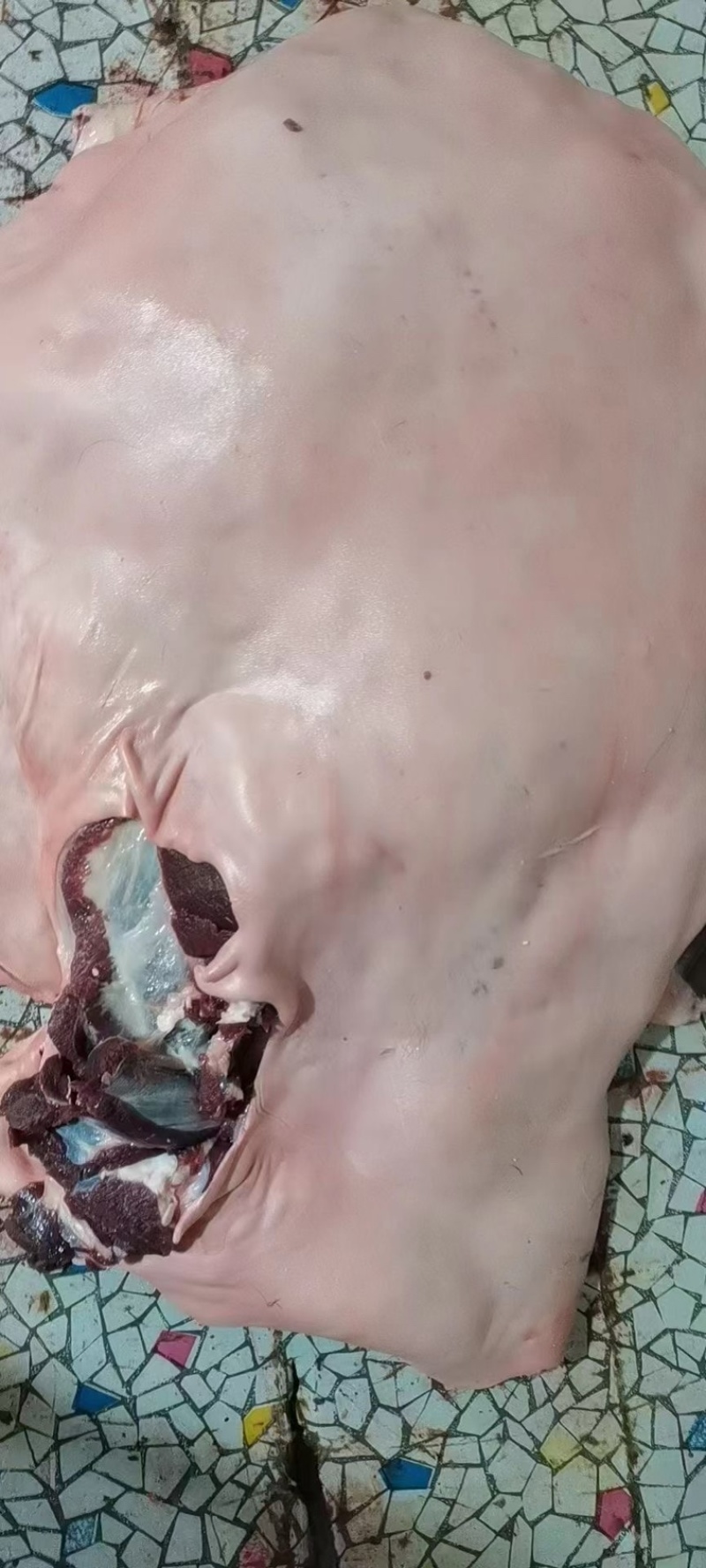 梅花鹿骨楠带里脊肉带前腿肉一手货源产地直销