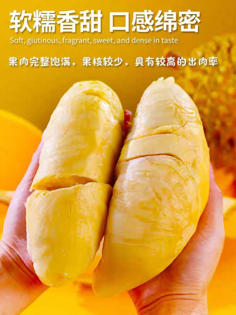 金枕榴莲一件代发包邮对接直播平台团购微商批发整柜