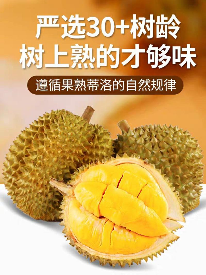 金枕榴莲一件代发包邮对接直播平台团购微商批发整柜