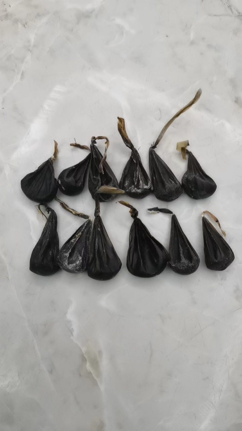 蛇胆正宗中药材五步蛇胆干蛇胆500g包邮
