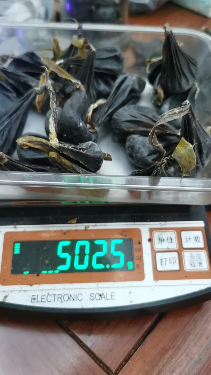 蛇胆正宗中药材五步蛇胆干蛇胆500g包邮