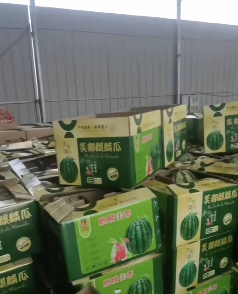 西瓜麒麟西瓜产区直发保质保量代发全国