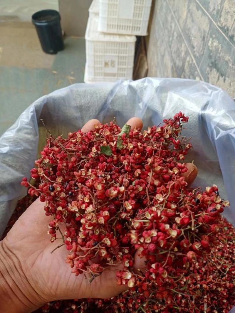 韩城大红袍花椒