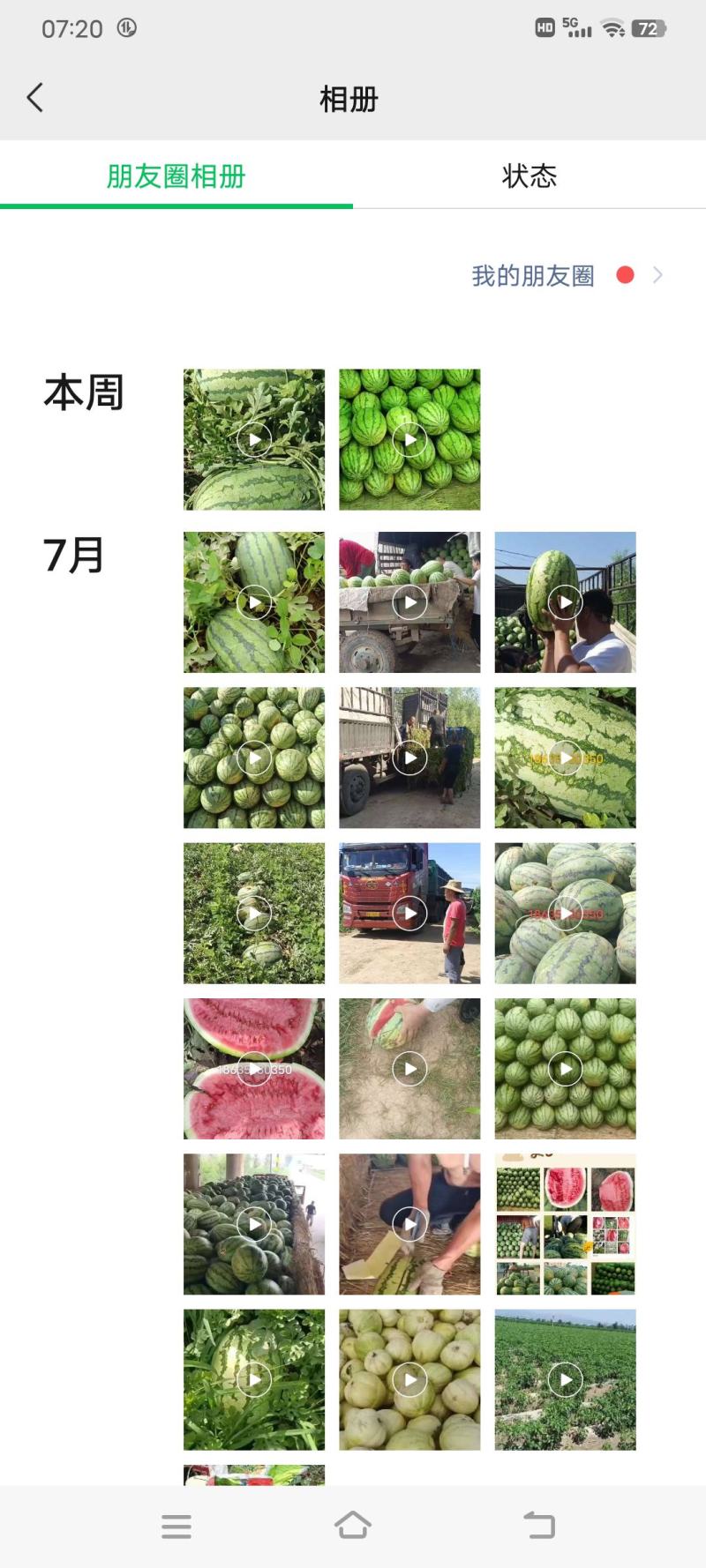 忻州沙地西瓜金城5大量供应头茬熟度8成5
