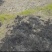 【农村土地】【出租】【可合同】【视频可看】