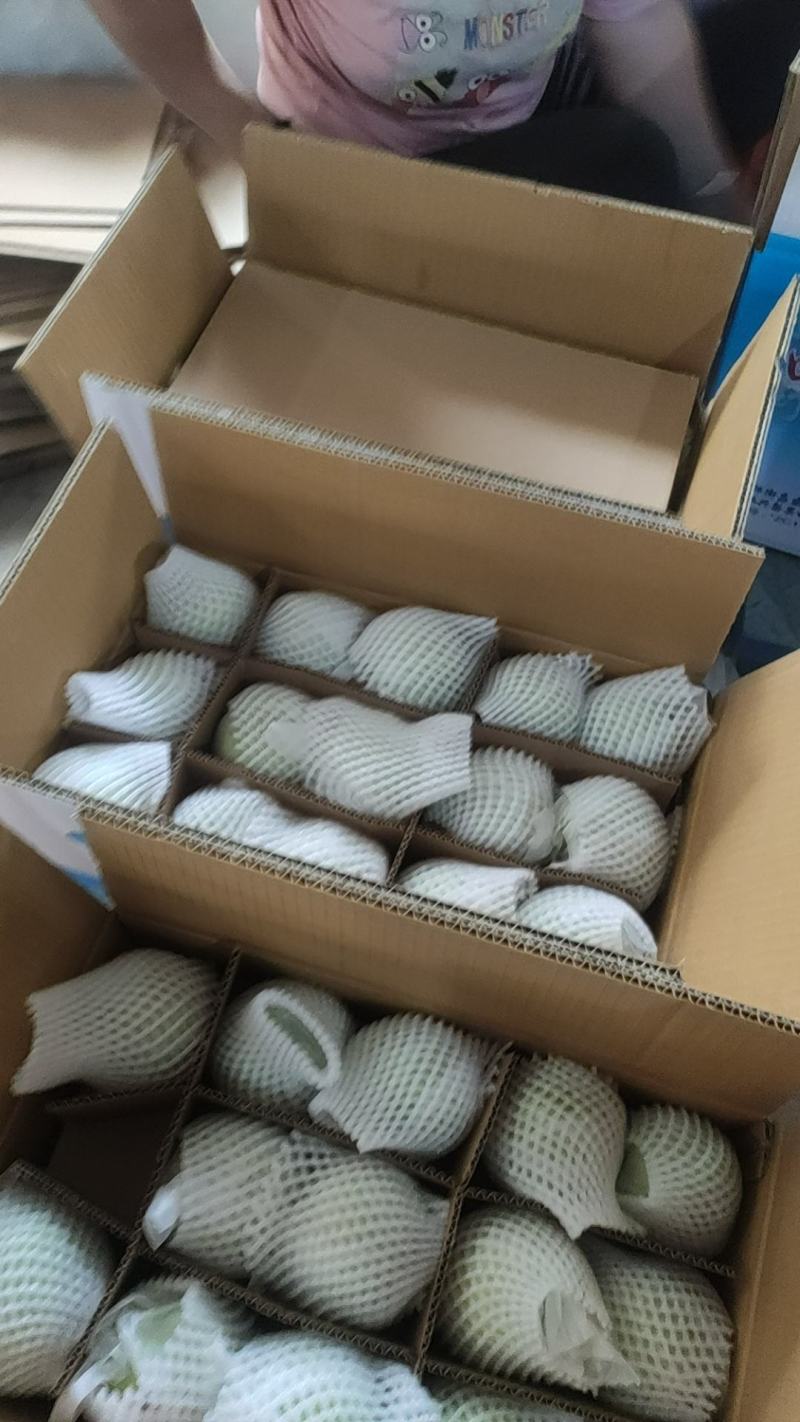 绿宝石梨大量上市，供超市，批发商，包装齐全，货量充足。