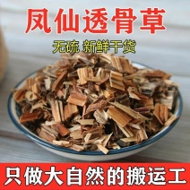 中药材凤仙透骨草正品中草药风仙透骨草泡脚散装透骨