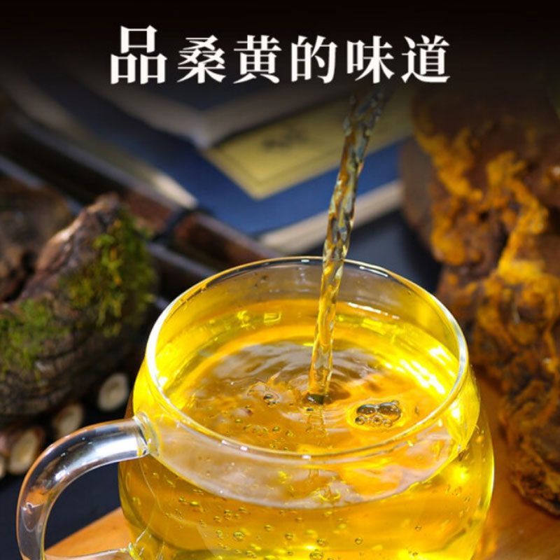 正宗西藏桑黄正品野生天然金边桑黄黄跑酒料整枝切片西藏直