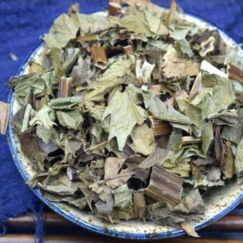 野生泽兰草中药材泽兰叶新鲜蛇王草地瓜苗草泽兰中草药泽