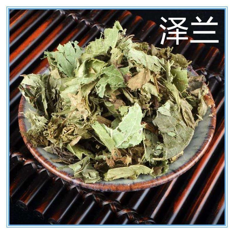 野生泽兰草中药材泽兰叶新鲜蛇王草地瓜苗草泽兰中草药泽