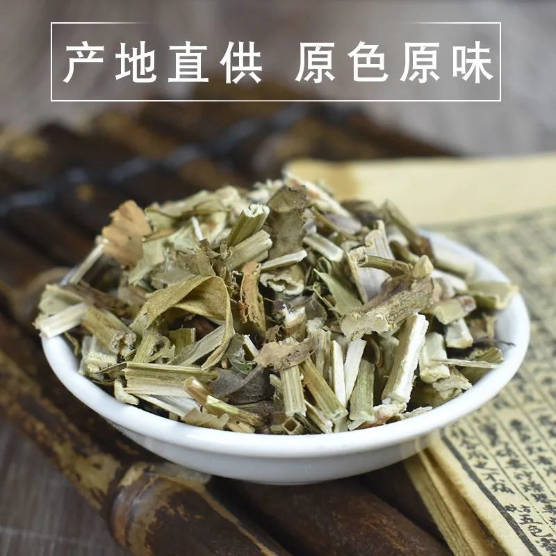 野生泽兰草中药材泽兰叶新鲜蛇王草地瓜苗草泽兰中草药泽