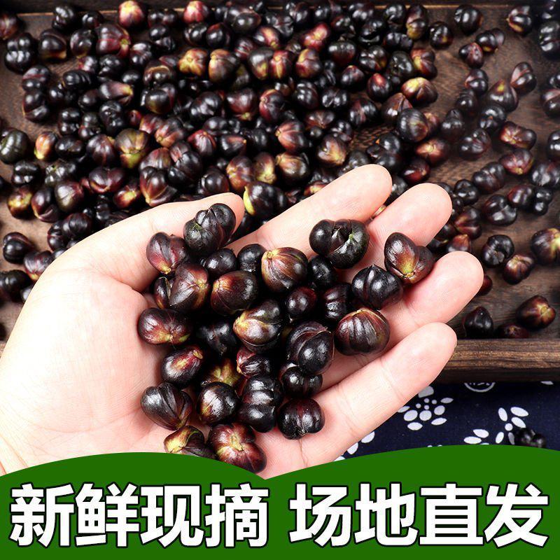 新鲜百合果湘西龙山特产新鲜百合籽可食用种球可种